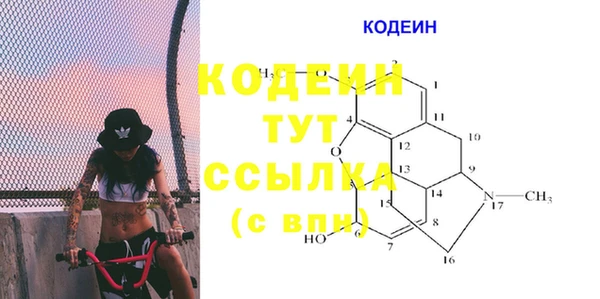 гидра Вязники