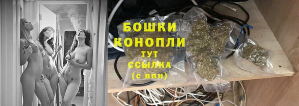 стаф Вязьма