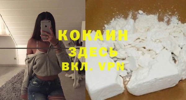 стаф Вязьма