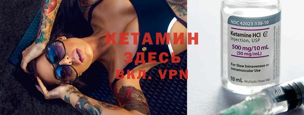 стаф Вязьма