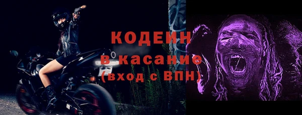 стаф Вязьма