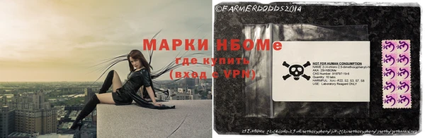 спиды Горняк