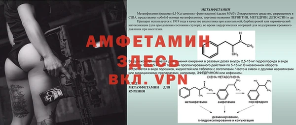 гидра Вязники