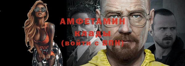 стаф Вязьма