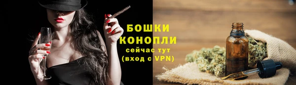винт Вяземский