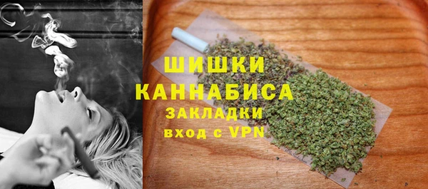 стаф Вязьма
