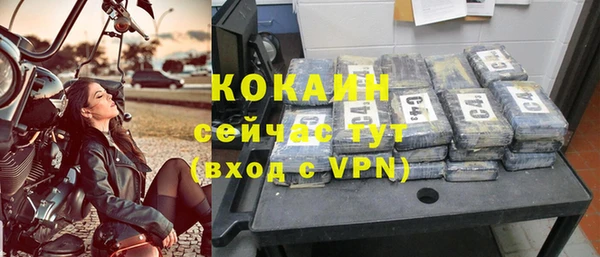 стаф Вязьма