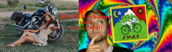 гидра Вязники