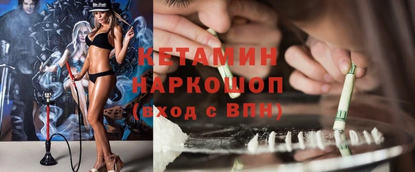 стаф Вязьма