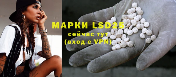 винт Вяземский