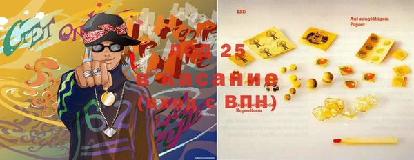 винт Вяземский