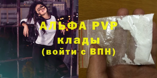 стаф Вязьма